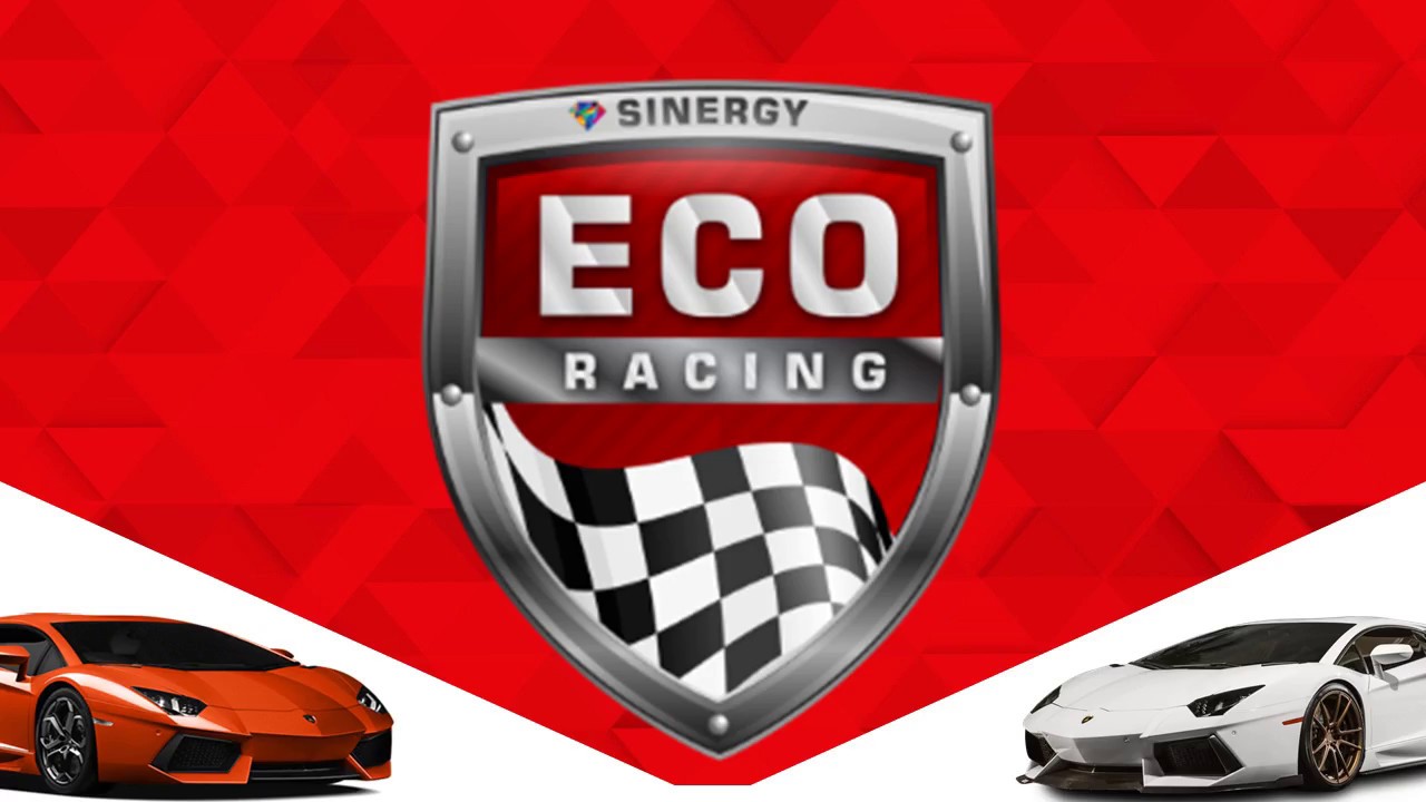 Eco-Racing-Sinergy world